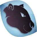 AMPLdev